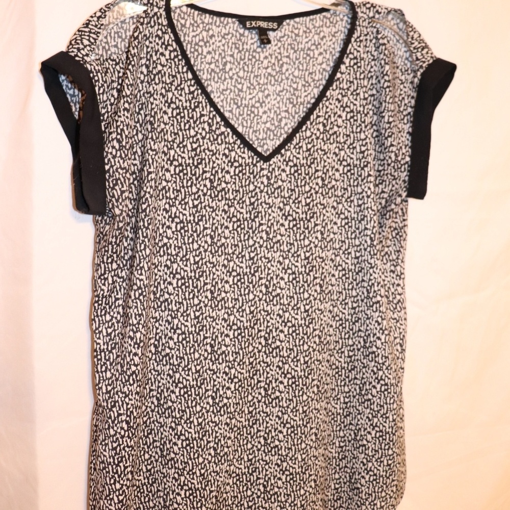 Express Vneck Shirt